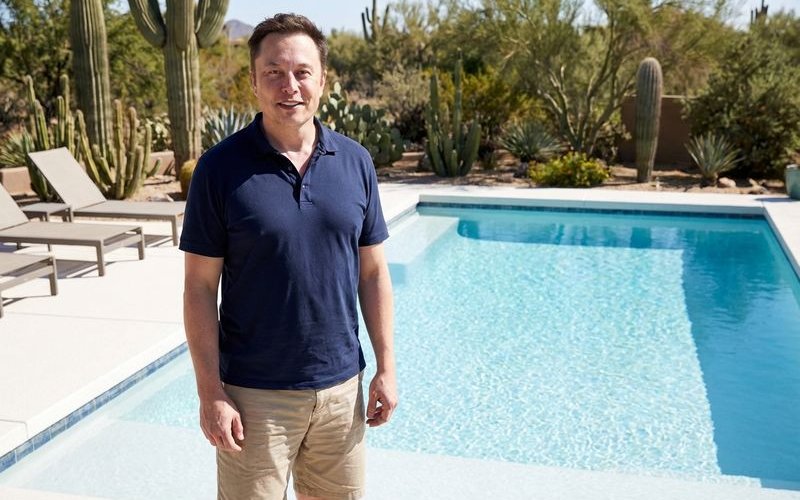 Well-maintained plaster pool